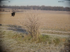 acker241227-092110 Mattin