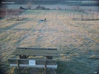 acker250114-080213 grund