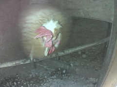 20250315 173911 hendl